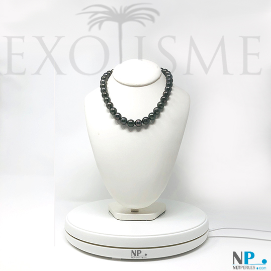 Collier constitue de perles noires de Tahiti de 10,9 à 11,87 mm d'une longueur de 43 à 44 cm